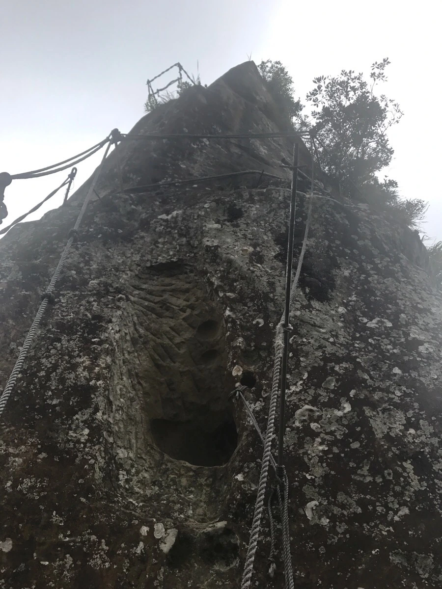 IMG_0985.jpg?type=w966