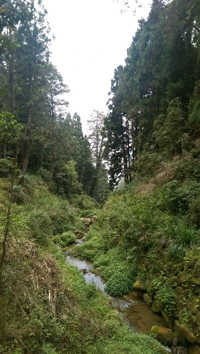 IMAG4943.jpg?type=w773