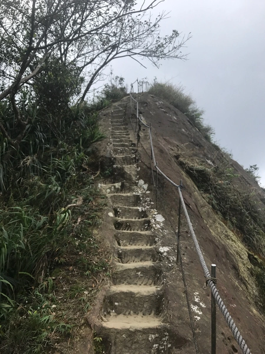 IMG_1052.jpg?type=w966