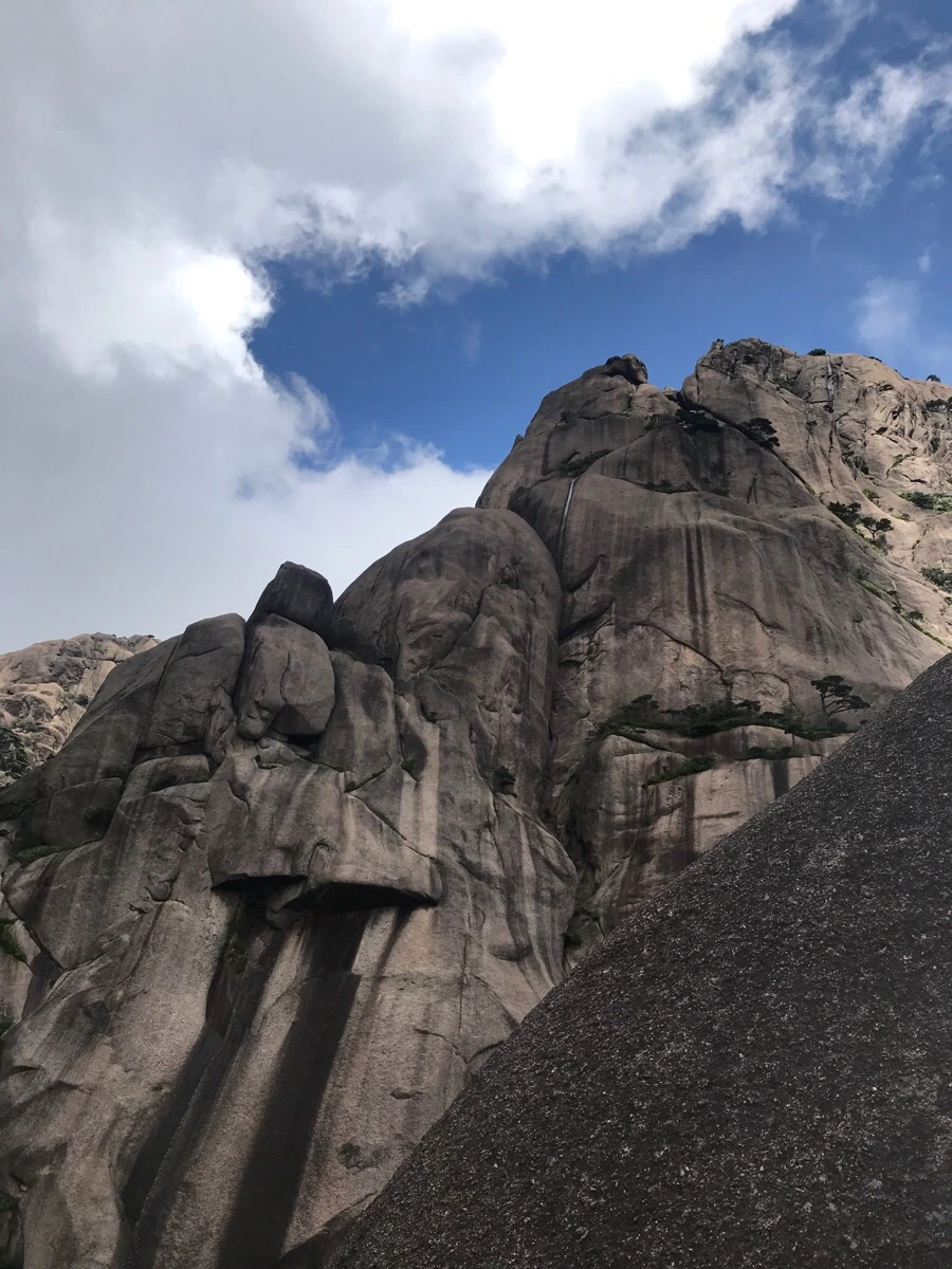 IMG_0860.jpg?type=w966