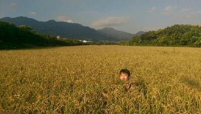 IMAG6241.jpg?type=w773