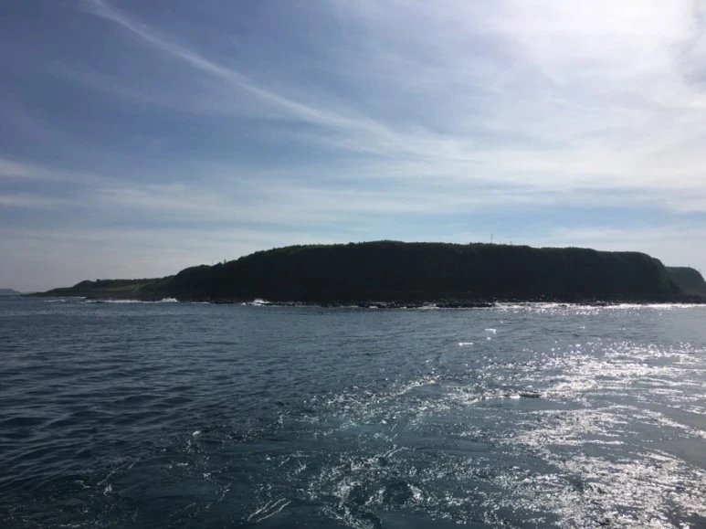 attachImage_1059792760.jpeg?type=w773