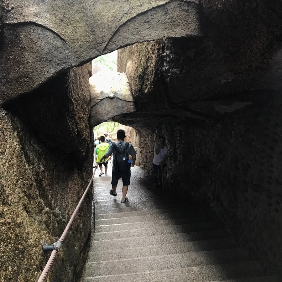 IMG_0827.jpg?type=w966