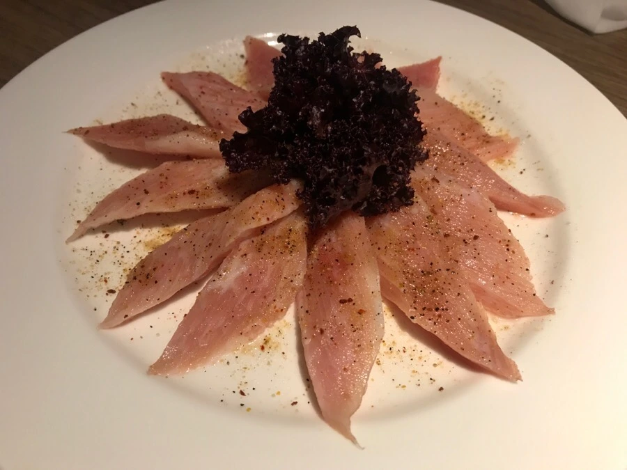 IMG_2880.jpg?type=w966