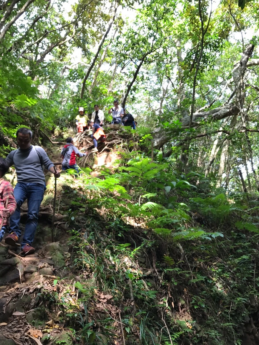 IMG_3651.jpg?type=w966