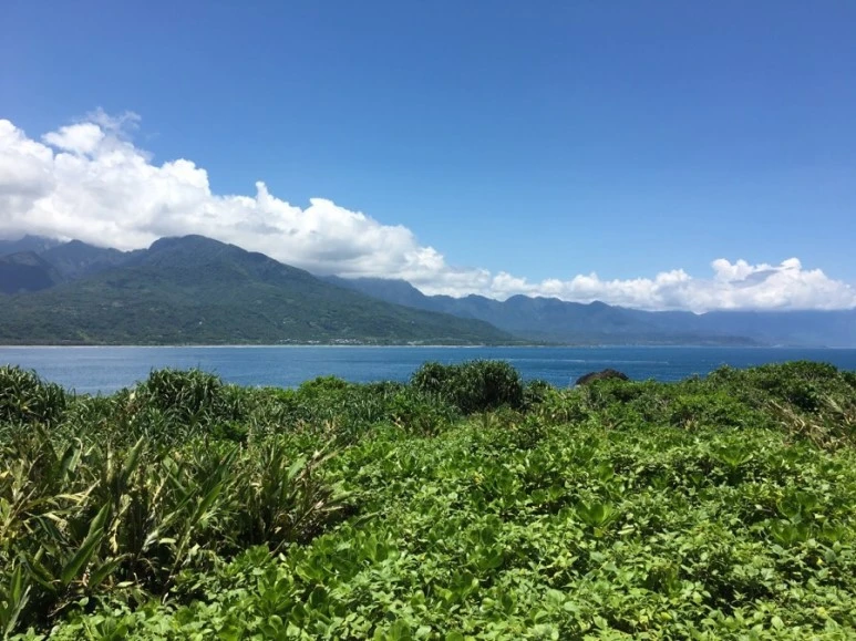 attachImage_351333197.jpeg?type=w773