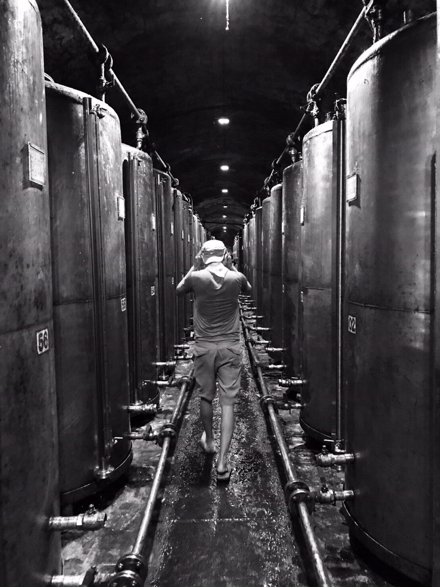 IMG_8689.jpg?type=w966