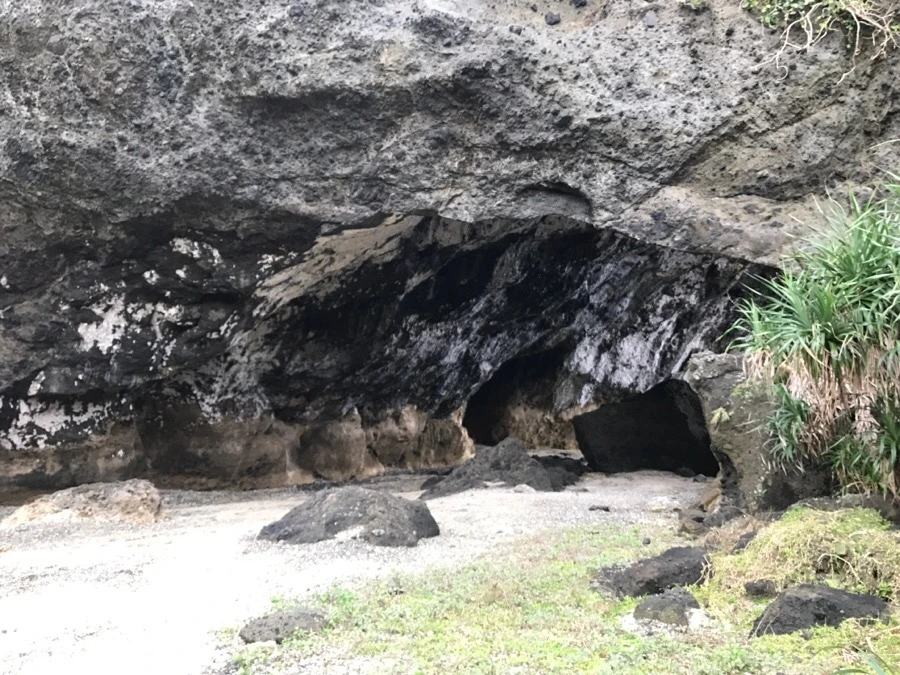 IMG_1617.jpg?type=w966