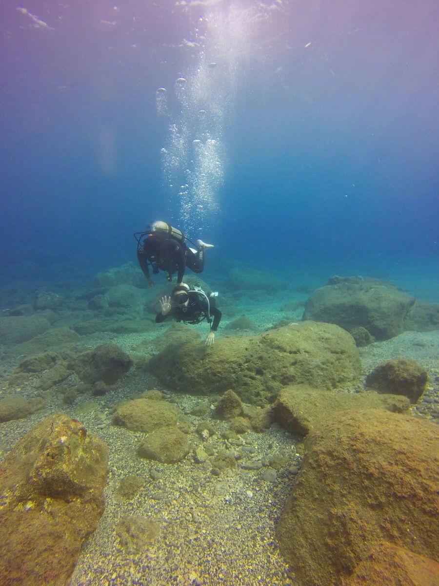 IMG_3573.jpg?type=w966