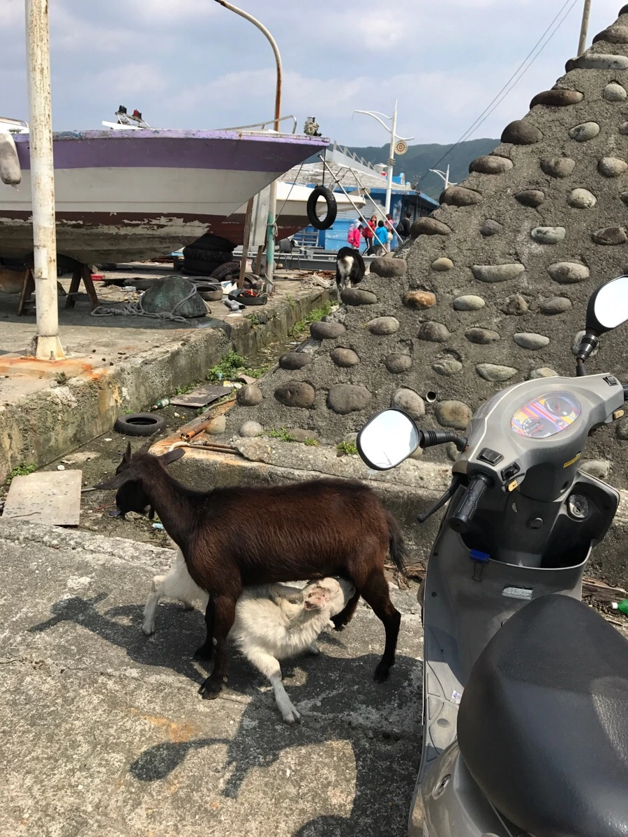 IMG_3374.jpg?type=w966