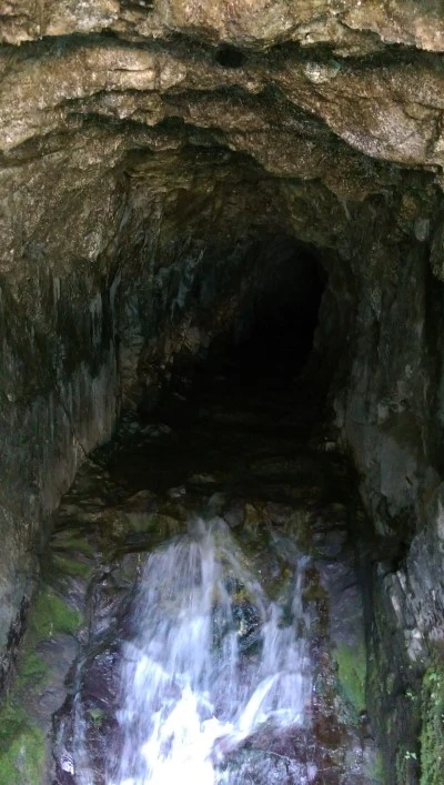 IMAG3537.jpg?type=w2