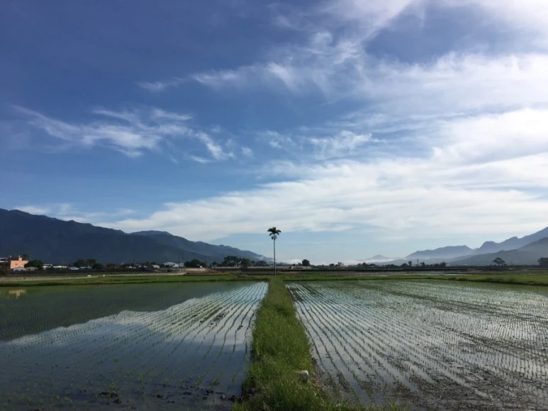 attachImage_3800698607.jpeg?type=w773