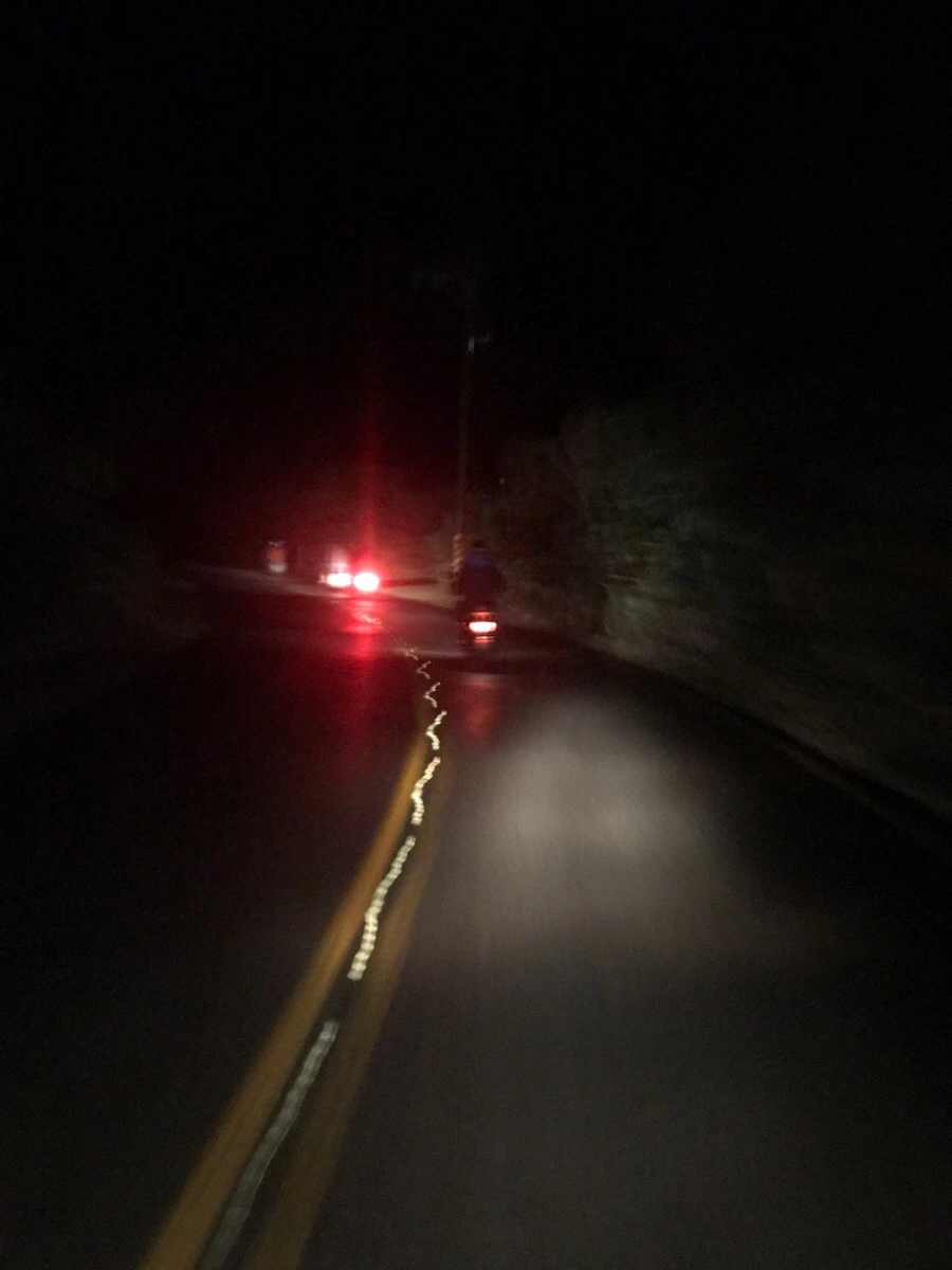 IMG_1442.jpg?type=w966