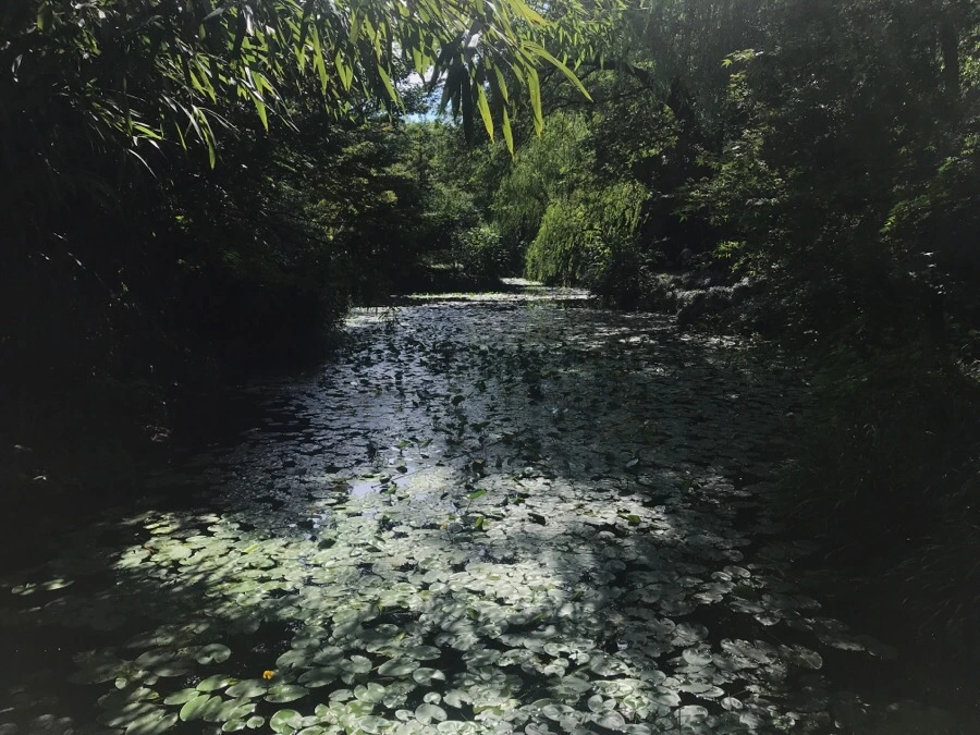 IMG_1160.jpg?type=w1