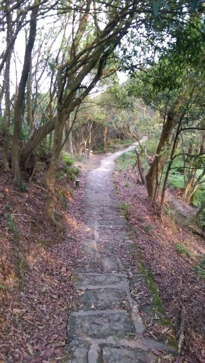 IMAG4170.jpg?type=w2