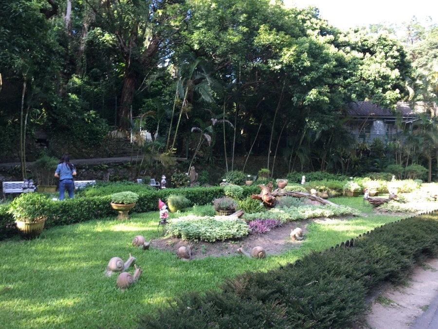 attachImage_3416207379.jpeg?type=w966