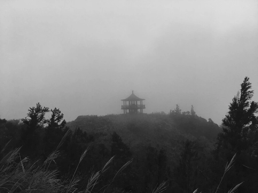 IMG_5429.JPG?type=w966