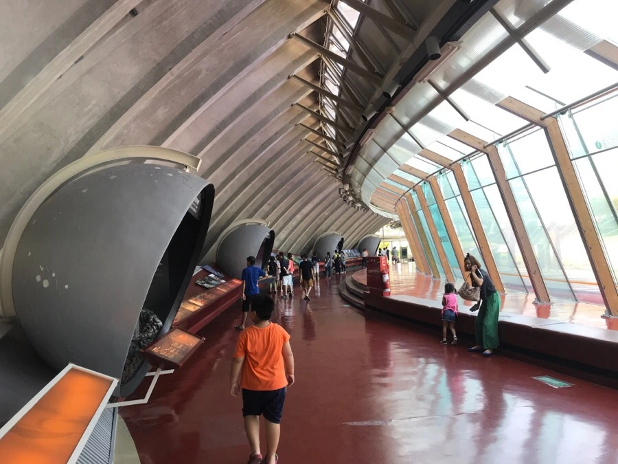 IMG_3246.jpg?type=w966