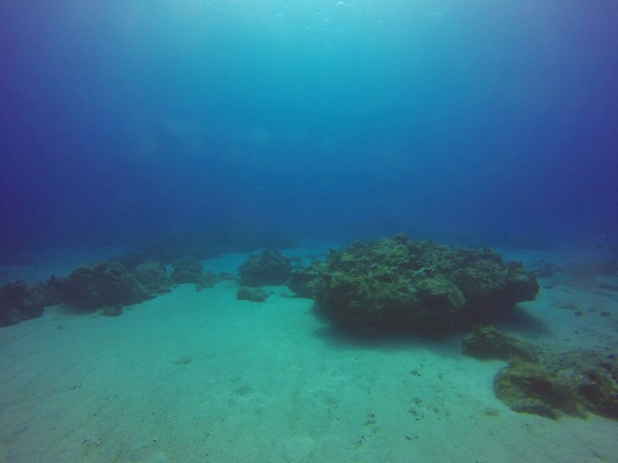 IMG_3597.jpg?type=w966