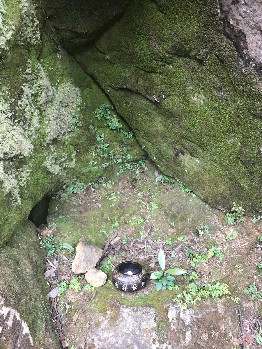 IMG_1063.jpg?type=w966