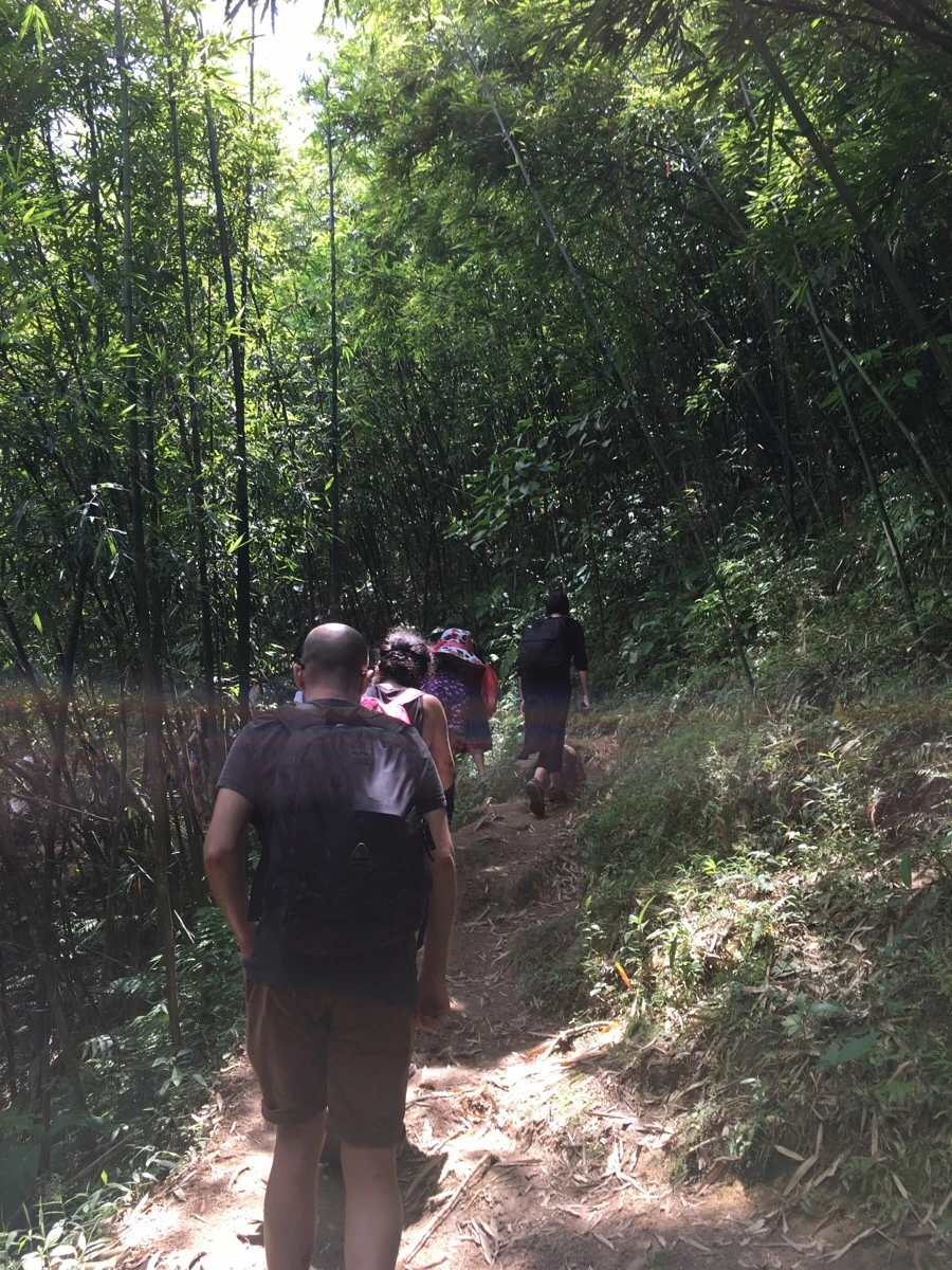 IMG_3572.JPG?type=w1