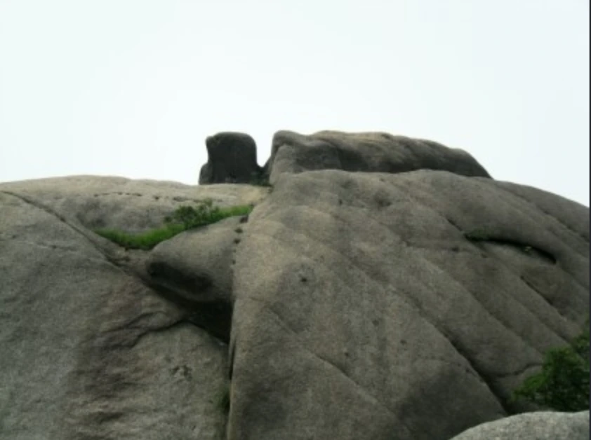 Screen_Shot_2018-10-09_at_5.15.56_PM.png?type=w966