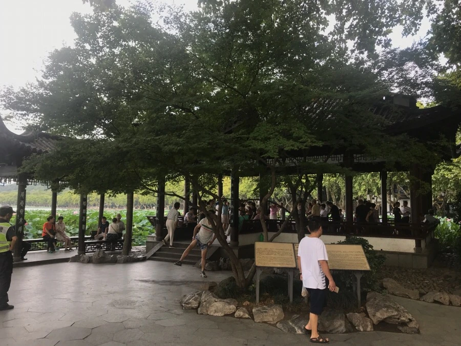 IMG_1062.jpg?type=w966