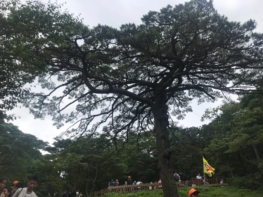 IMG_0728.jpg?type=w966