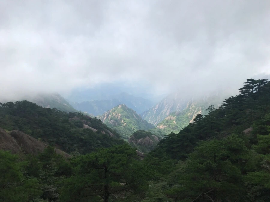 IMG_0816.jpg?type=w966