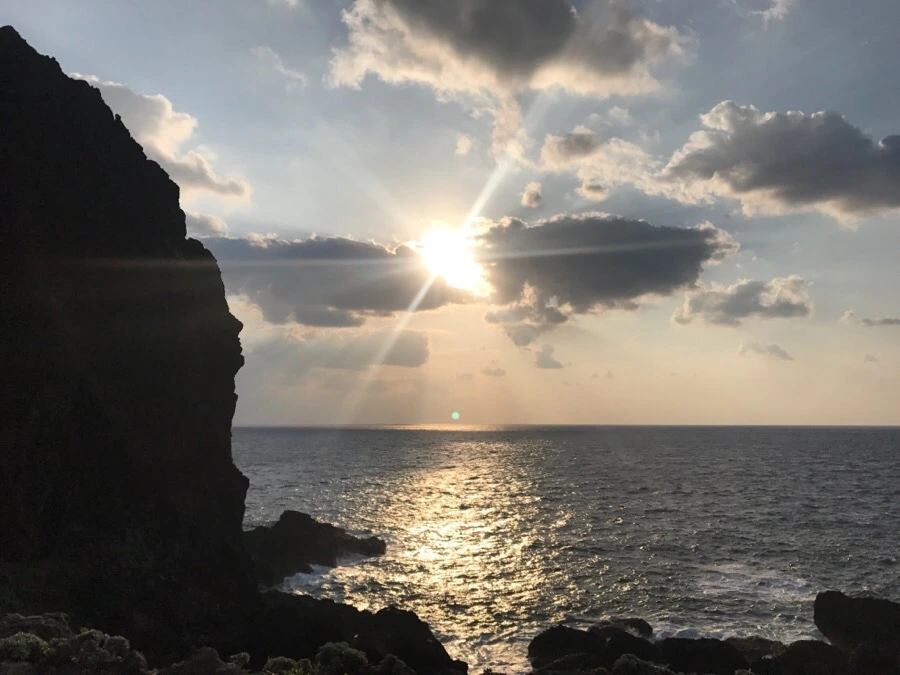 IMG_3859.jpg?type=w966