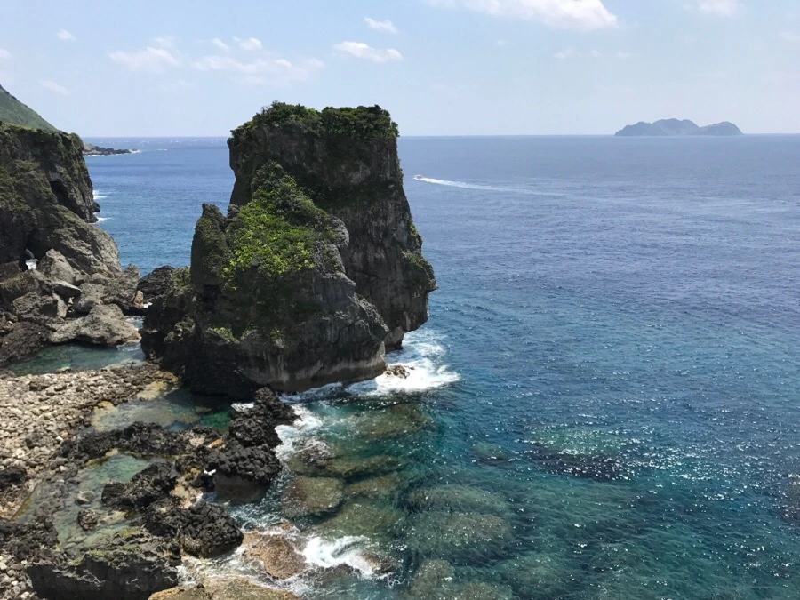 IMG_3928.jpg?type=w966