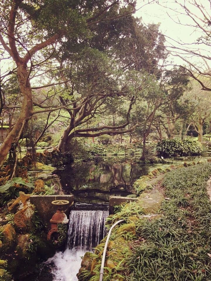 IMG_0049.jpg?type=w966