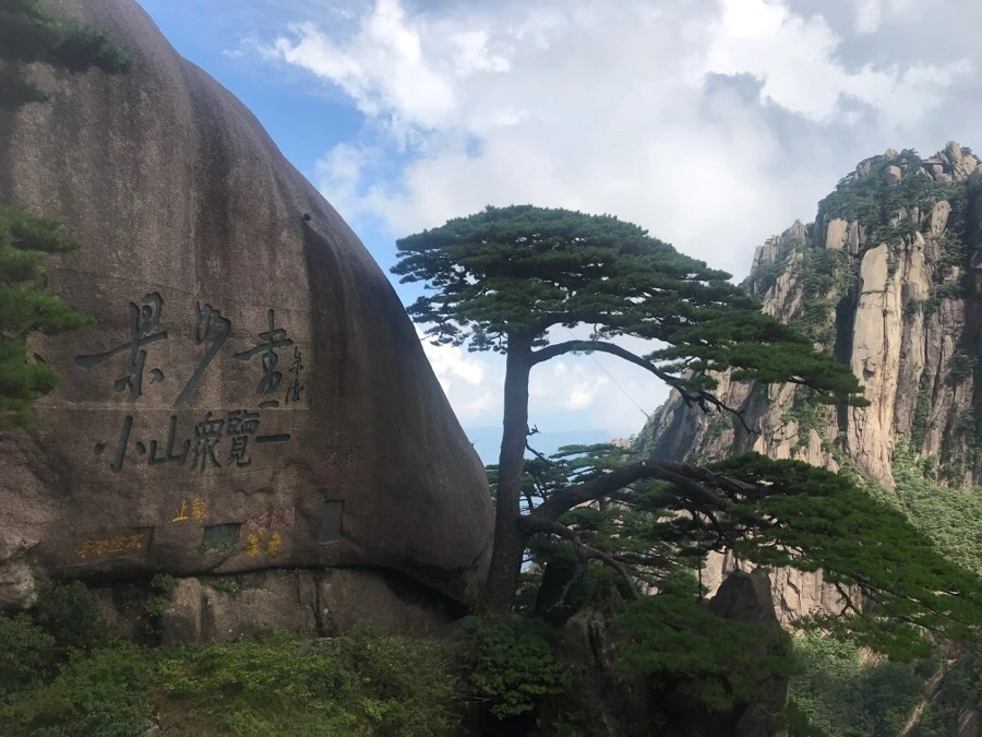 IMG_0917.jpg?type=w966