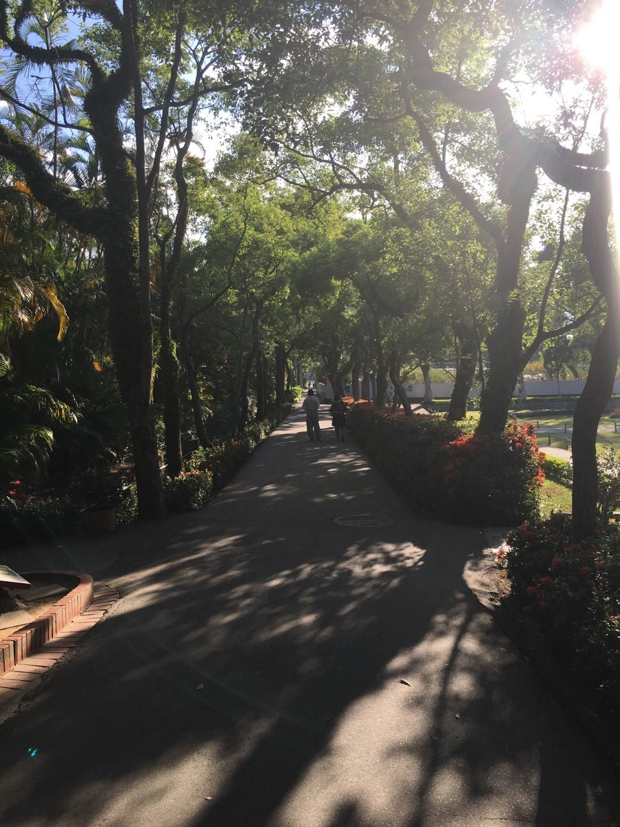 attachImage_1976772260.jpeg?type=w966