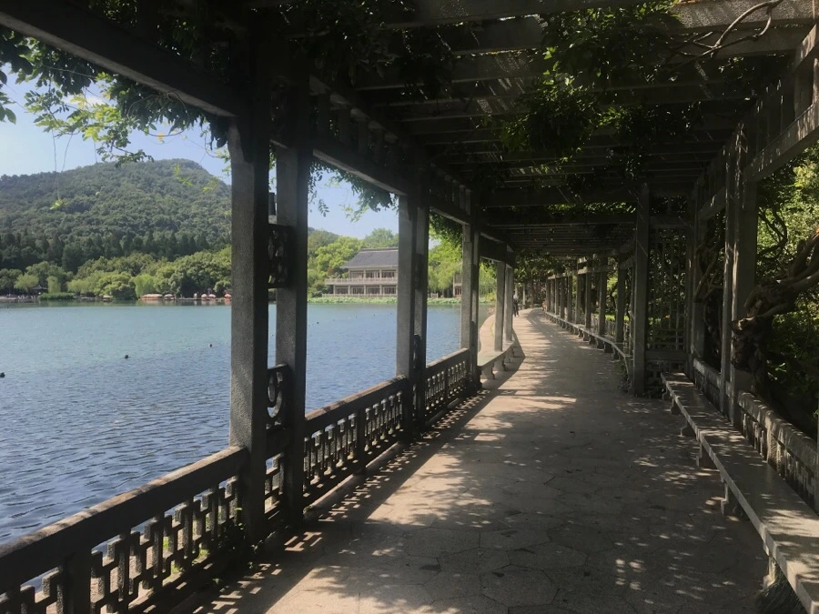 IMG_1204.jpg?type=w1