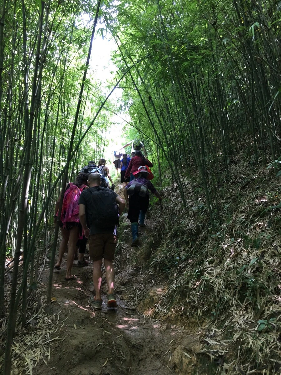 IMG_3576.JPG?type=w1