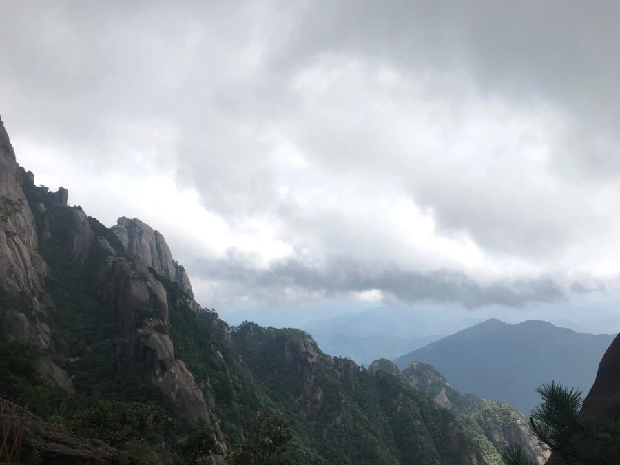 IMG_0830.jpg?type=w966