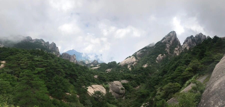 IMG_0788.jpg?type=w966