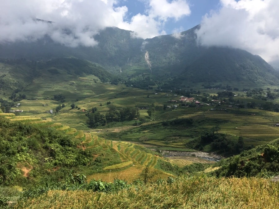 IMG_3555.JPG?type=w1