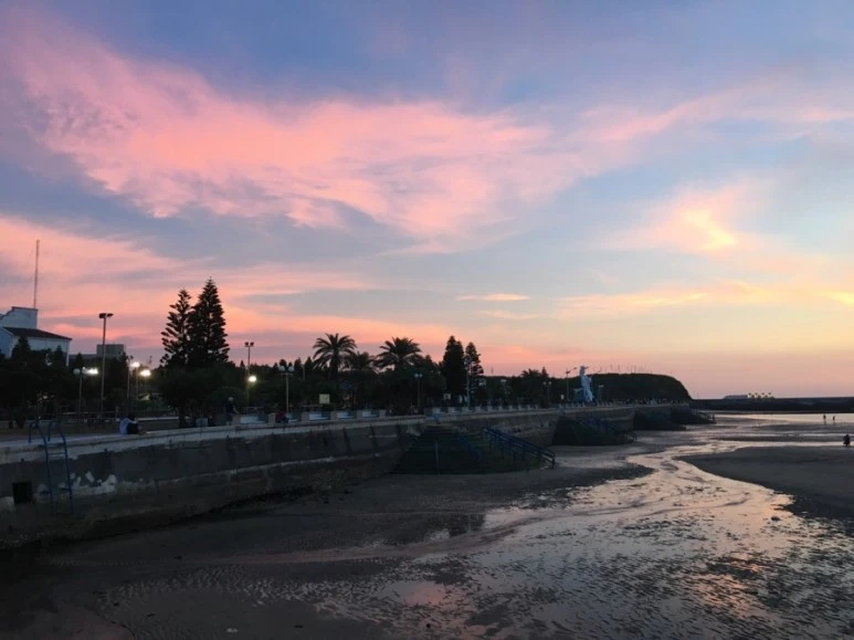 attachImage_3051933200.jpeg?type=w773