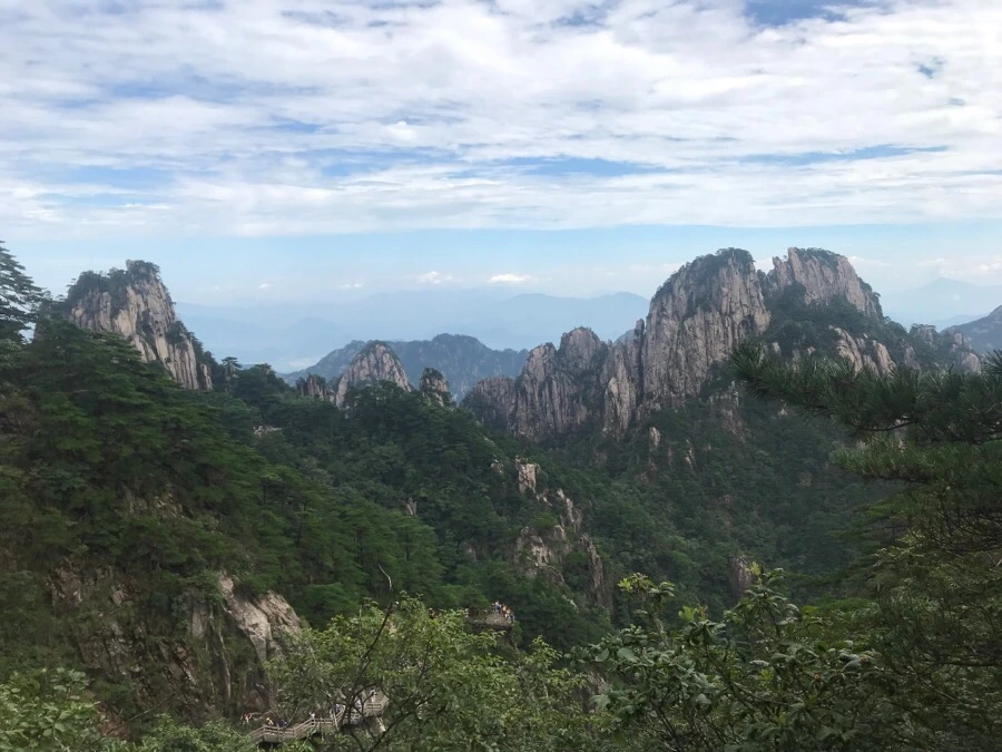 IMG_0716.jpg?type=w966