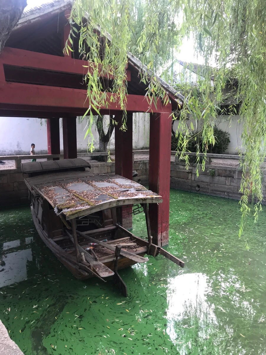 IMG_1485.jpg?type=w1