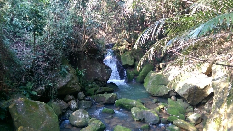 IMAG4143.jpg?type=w2