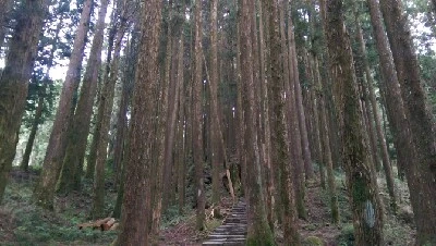 IMAG4925.jpg?type=w773