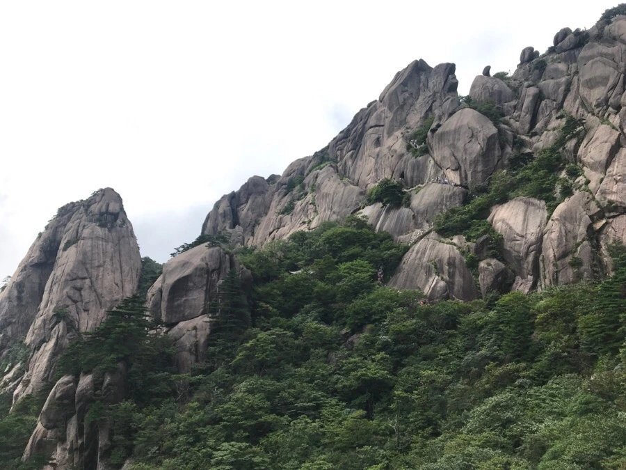 IMG_0840.jpg?type=w966