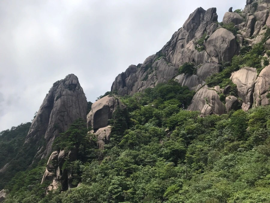 IMG_0837.jpg?type=w966