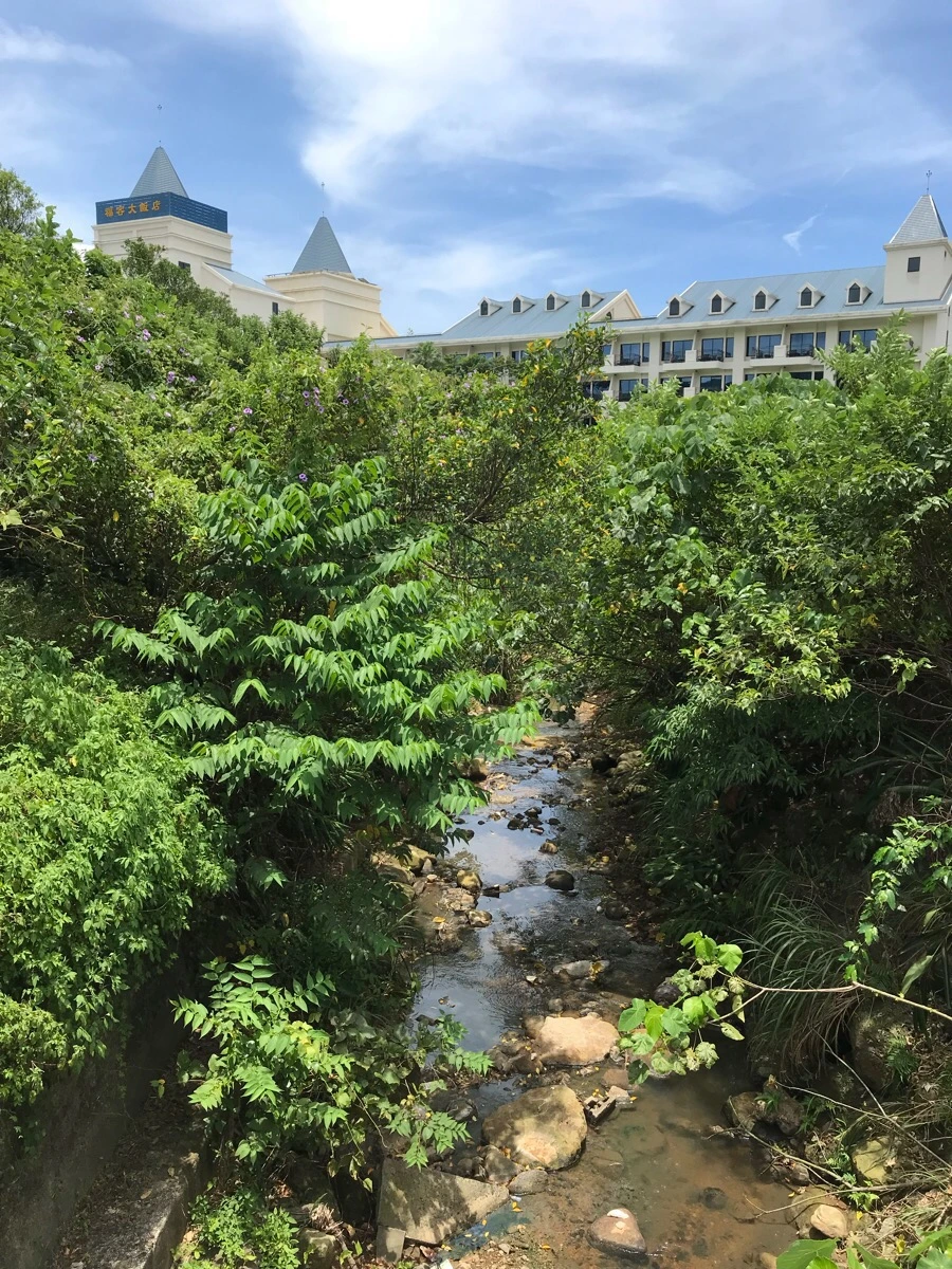 IMG_9357.jpg?type=w966