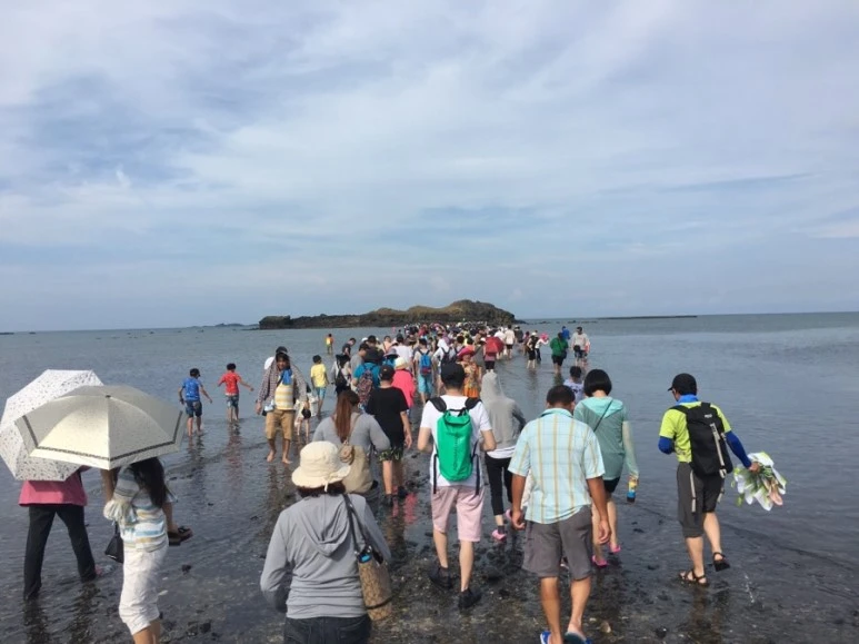 attachImage_981164062.jpeg?type=w773