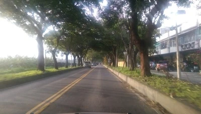 IMAG3479.jpg?type=w2