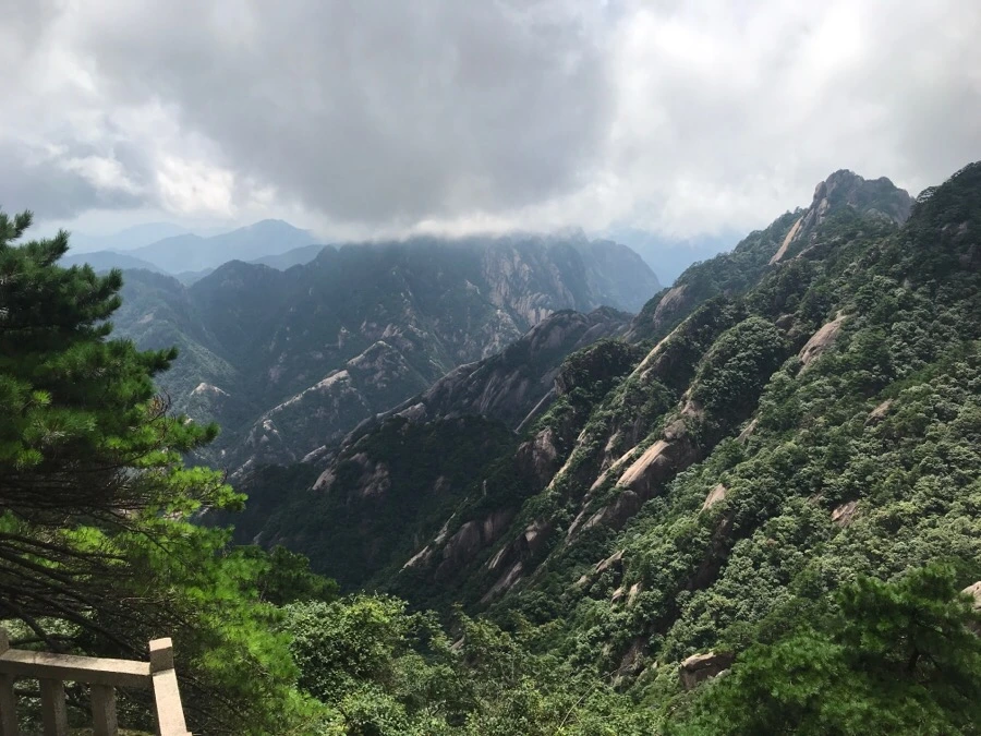 IMG_0844.jpg?type=w966